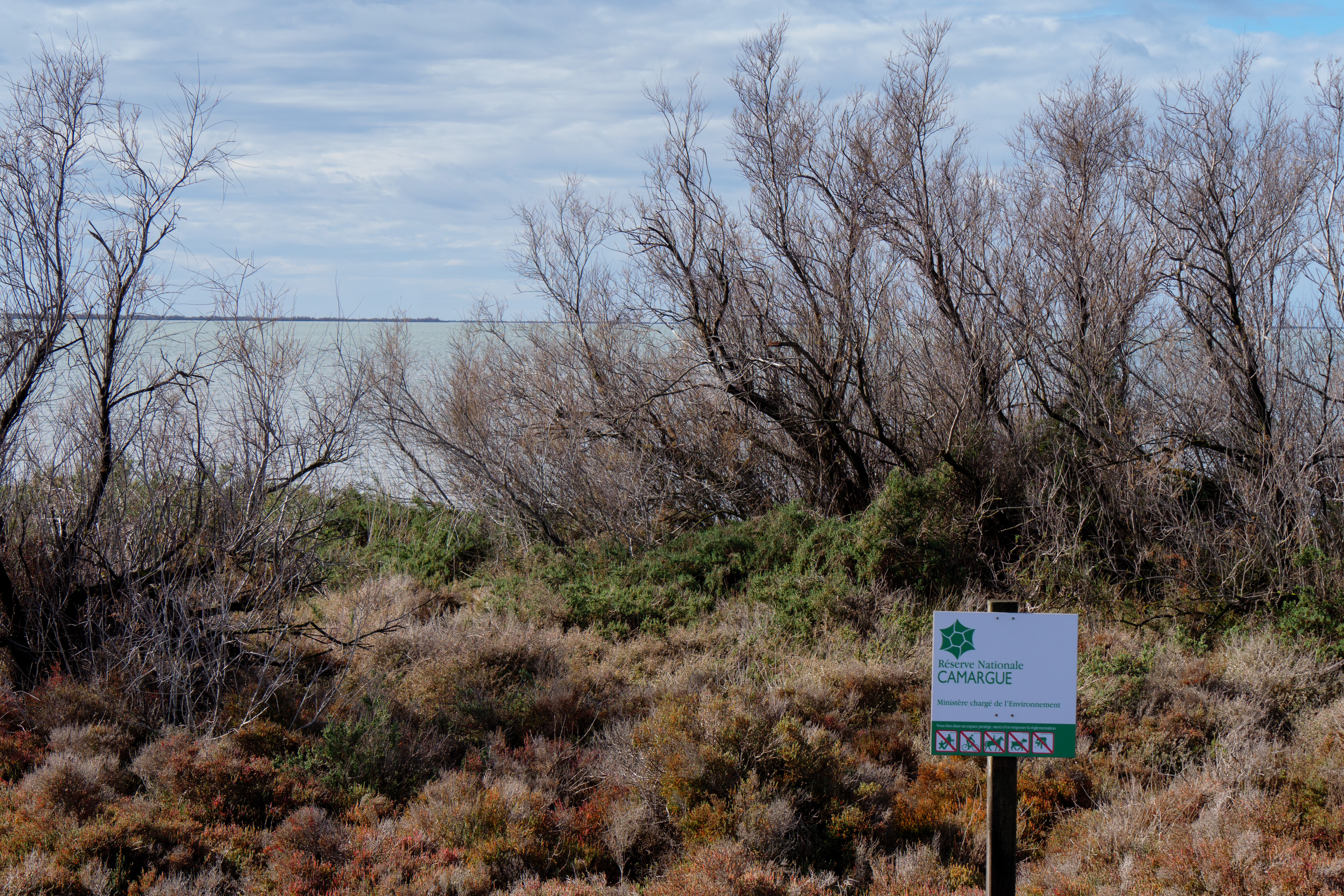 Parc Naturel de Camargue